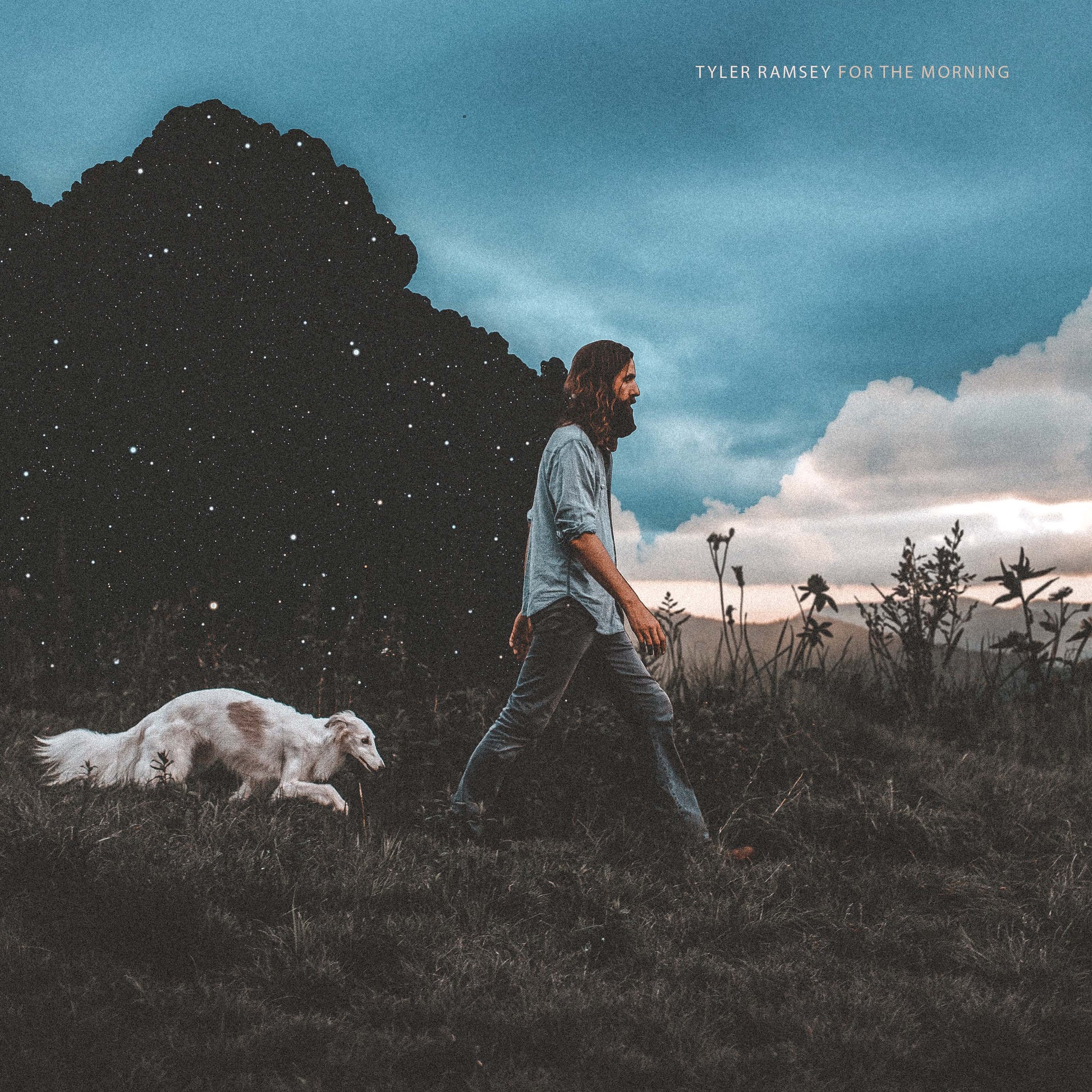 For The Morning [LP]