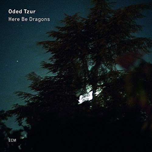 Here Be Dragons [LP]