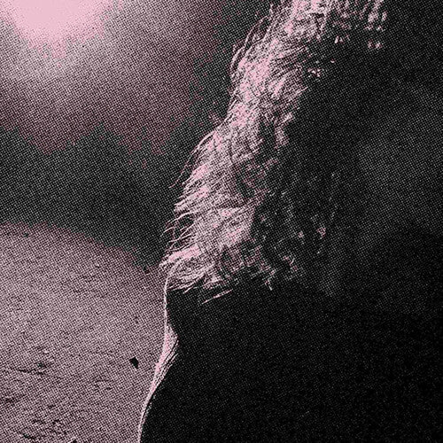 Ghostholding (Orchid Colored Vinyl, Reissue) (2 Lp's)