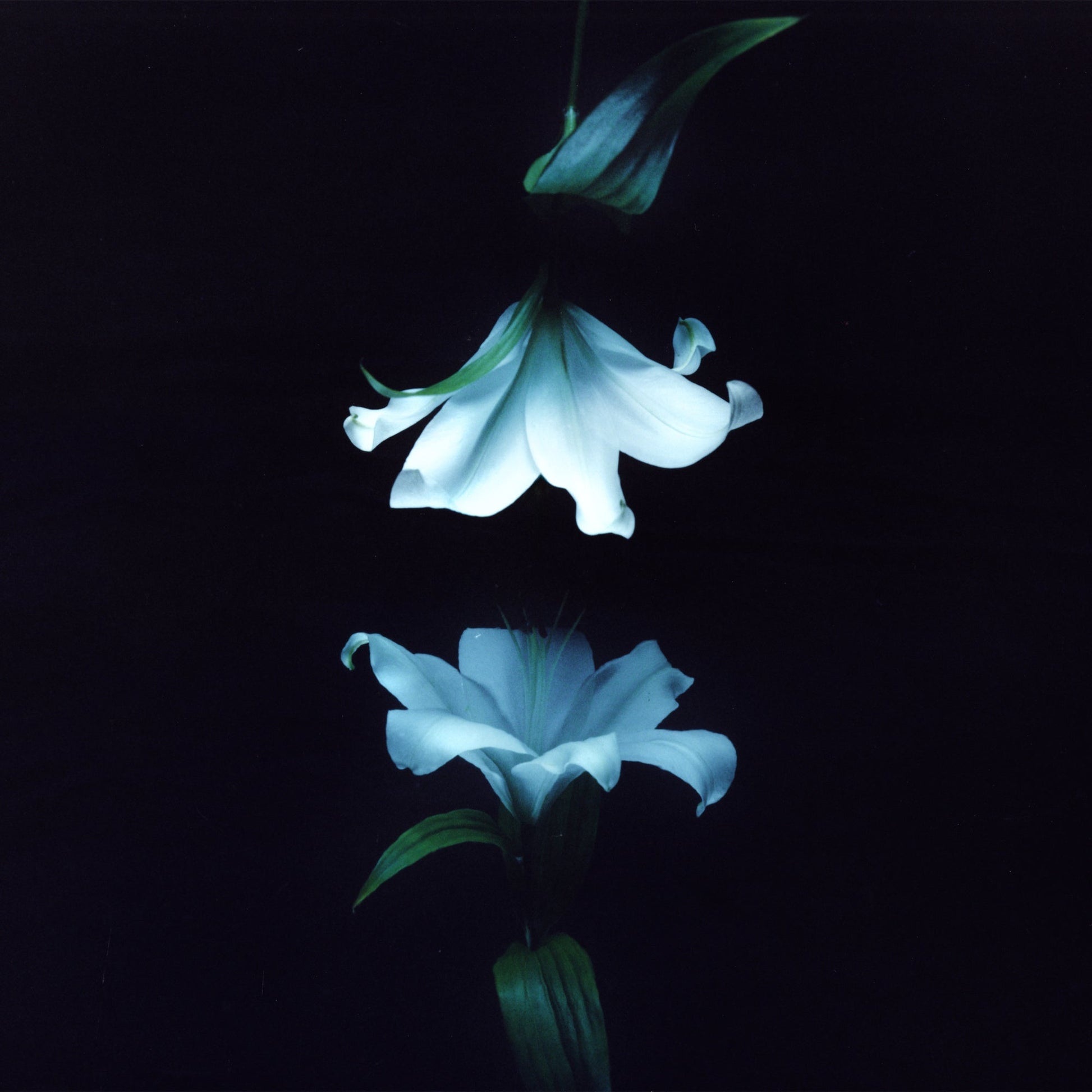 Nocturne (Indies Exclusive) [Blue Vinyl]