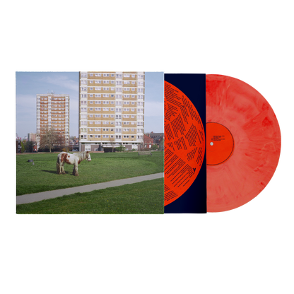 It Goes On [Red LP]