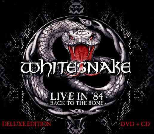 LIVE IN 84: BACK TO THE BONE