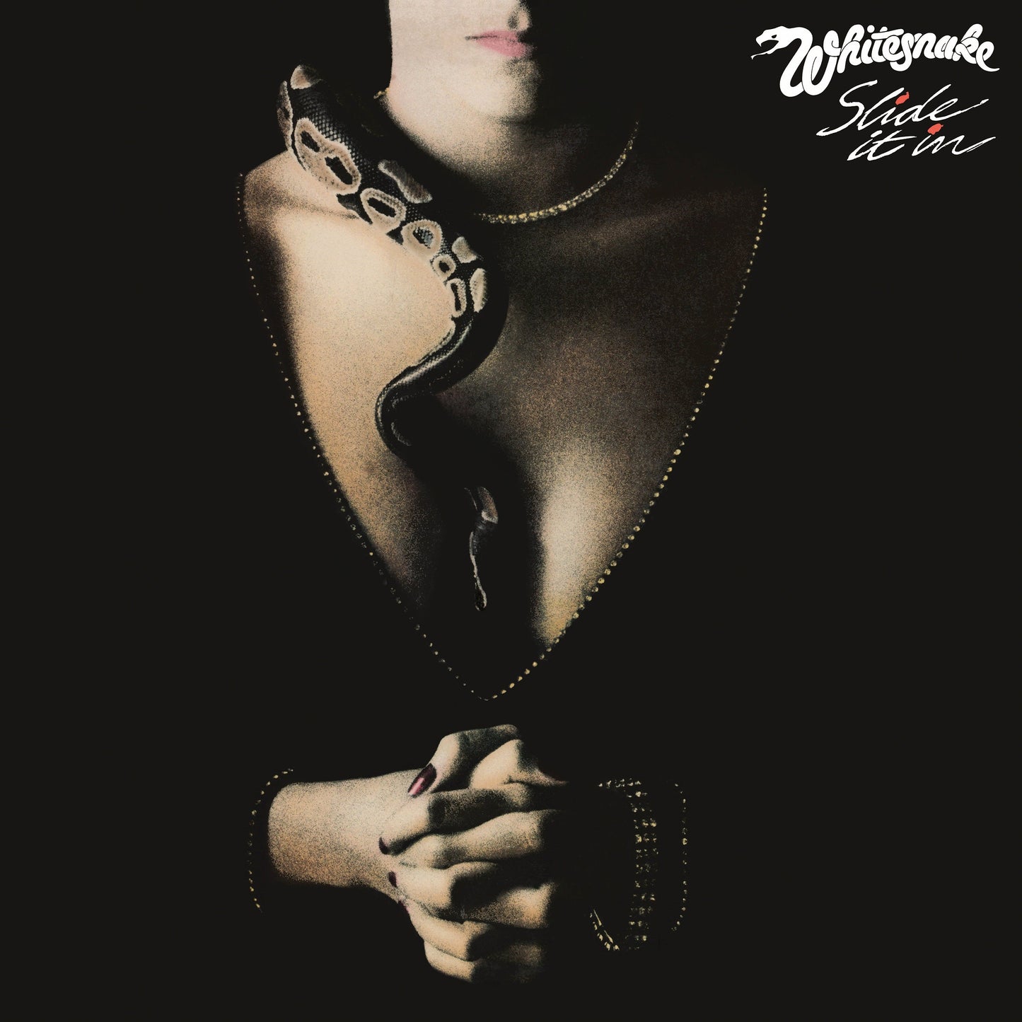 Slide It In [LP]