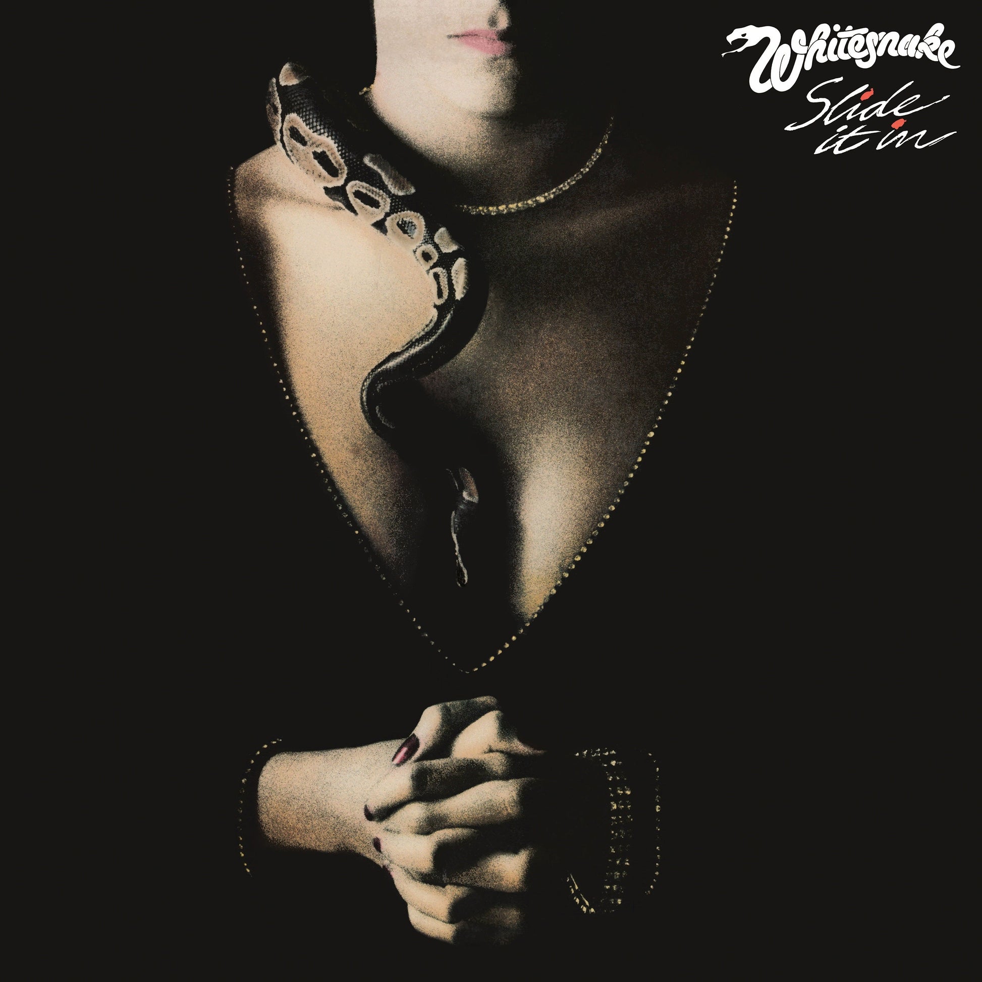 Slide It In [LP]