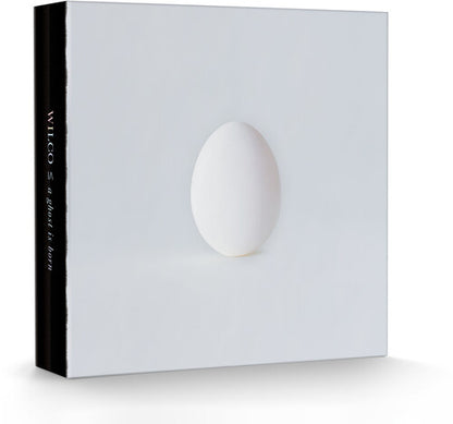 A Ghost Is Born (Deluxe Edition, Boxed Set, With CD) ((9 Lp's/ 4 Cd's Box set)