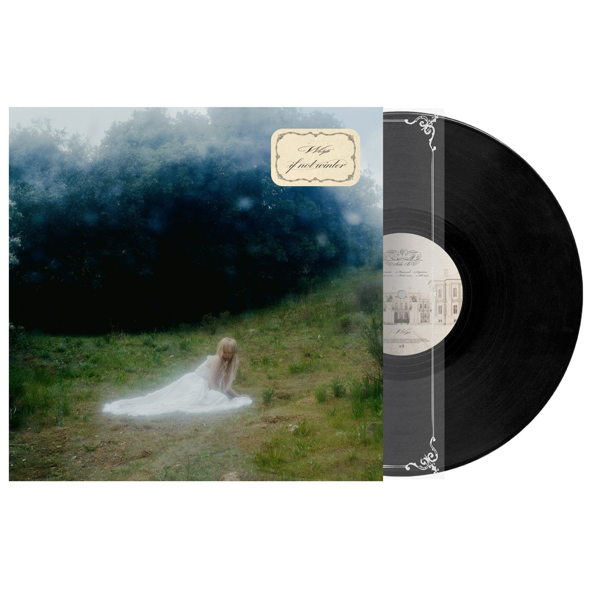 If Not Winter [Lp]