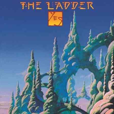 LADDER