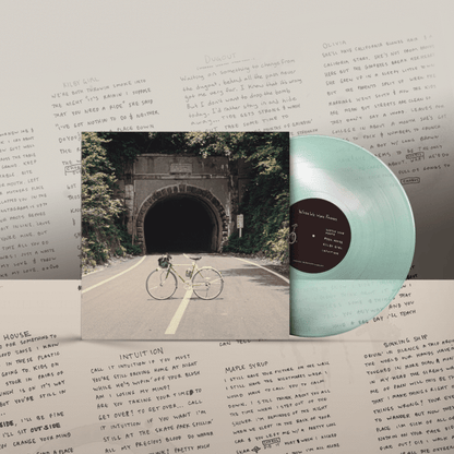 The Backseat Lovers When We Were Friends (2LP)