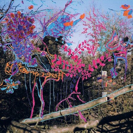 Animal Collective HERE COMES THE INDIAN