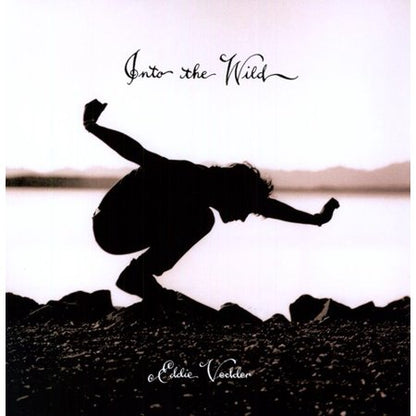 Eddie Vedder Into the Wild